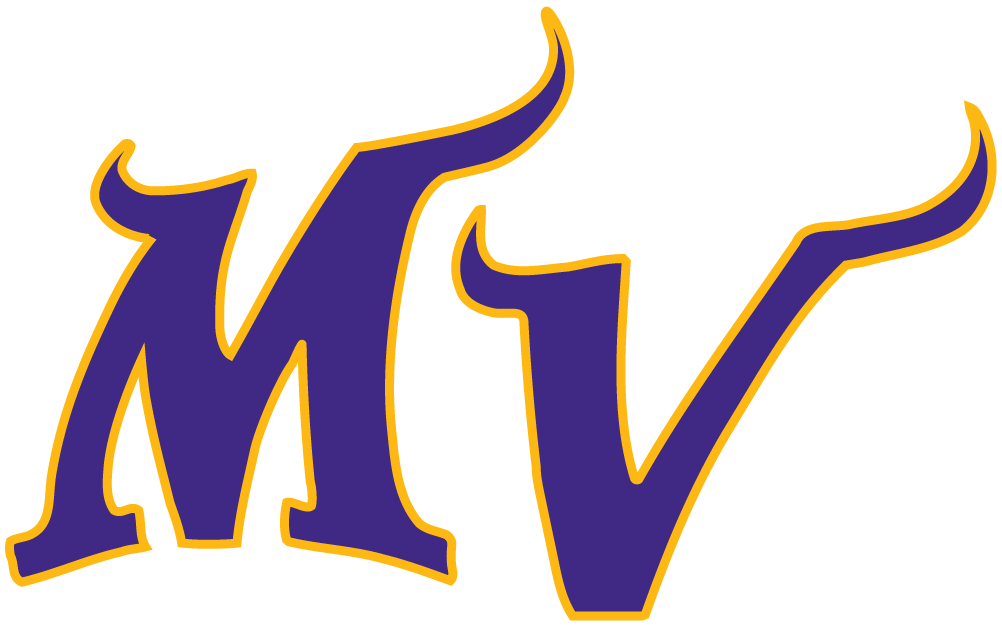 Minnesota Vikings 2004-Pres Alternate Logo t shirts DIY iron ons